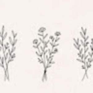 Meet your Posher, Noele